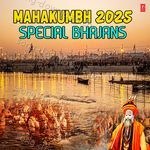 Mahakumbh 2025 Special Bhajans - Narendra Chanchal Song Download